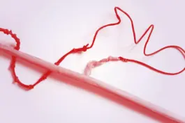 Sprachspiel. Biennale West.