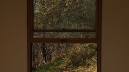 Two Cabins von James Benning © Foto: Österreichisches Filmmuseum Wien 