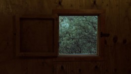 Two Cabins von James Benning © Foto: Österreichisches Filmmuseum Wien 