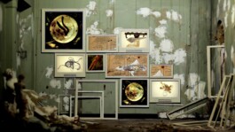 Die Hüter des Unrats von Susann Maria Hempel 