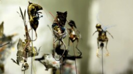 Die Hüter des Unrats von Susann Maria Hempel 