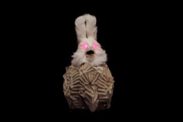 Hase im Kohlkopf