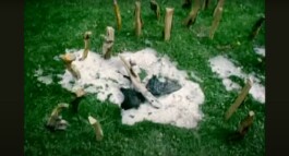 A Ballad About Green Wood