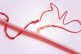 Sprachspiel. Biennale West.