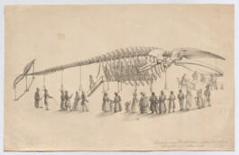 Sprachspiel. Biennale West.