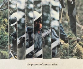 Sprachspiel. Biennale West.