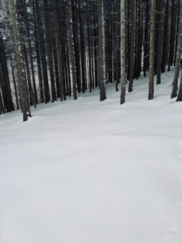 Sprachspiel. Biennale West.