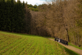 Sprachspiel. Biennale West.